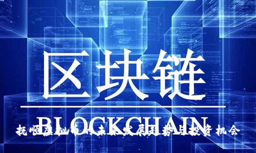 抚顺虚拟币的未来发展趋势与投资机会
