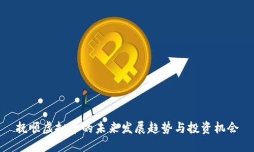 抚顺虚拟币的未来发展趋势与投资机会