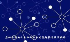 虚拟币转为人民币的未来