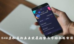 BHD虚拟币的未来发展趋势