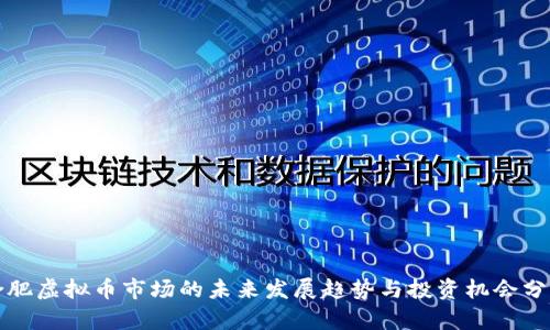 合肥虚拟币市场的未来发展趋势与投资机会分析