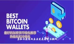 虚拟币超链的未来发展趋