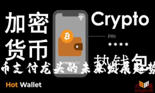 虚拟币支付龙头的未来发展趋势分析
