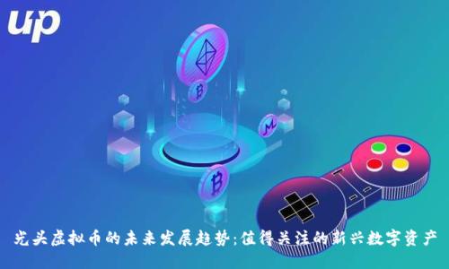 光头虚拟币的未来发展趋势：值得关注的新兴数字资产
