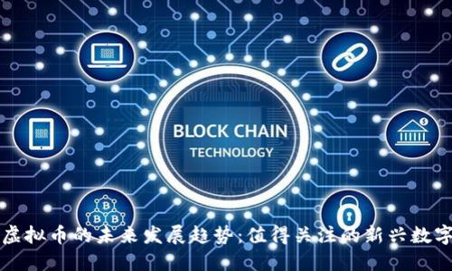 光头虚拟币的未来发展趋势：值得关注的新兴数字资产