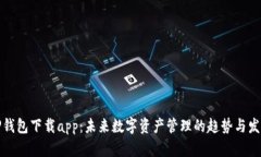 TP钱包下载app：未来数字资