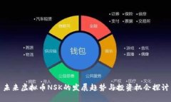 未来虚拟币NSK的发展趋势与投资机会探讨