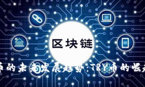 虚拟货币的未来发展趋势：TRY币的崛起与挑战