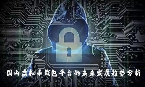 国内虚拟币钱包平台的未来发展趋势分析