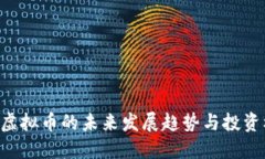 CBE虚拟币的未来发展趋势与投资机会