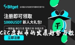 未来数年DCRC虚拟币的发展趋势与投资前景分析