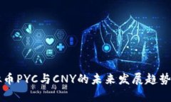 虚拟币PYC与CNY的未来发展趋势分析