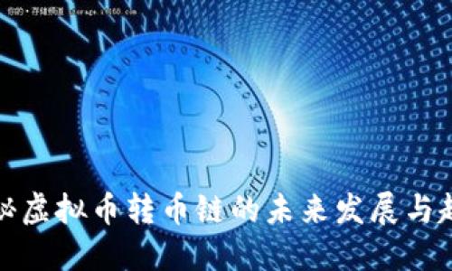 揭秘虚拟币转币链的未来发展与趋势