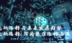 虚拟币钱包的选择与未来