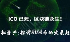 未来的虚拟资产：探讨H
