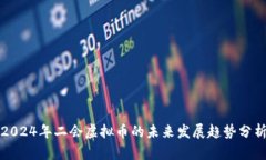 2024年二会虚拟币的未来发