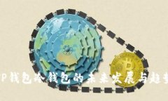 TP钱包冷钱包的未来发展与