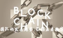 虚拟币头部团队的发展趋