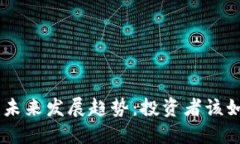HGT虚拟币的未来发展趋势