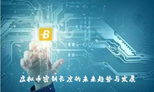虚拟币密钥长度的未来趋势与发展