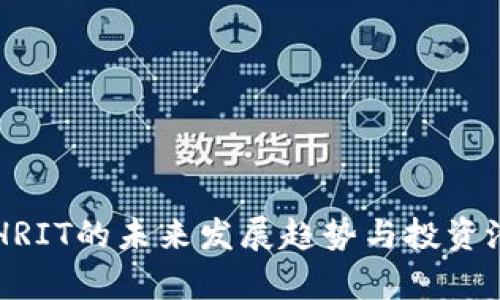 虚拟币HRIT的未来发展趋势与投资潜力分析
