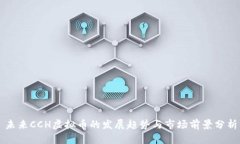 未来CCH虚拟币的发展趋势
