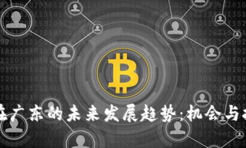 虚拟币在广东的未来发展趋势：机会与挑战并存