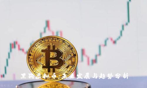 黑狗虚拟币：未来发展与趋势分析