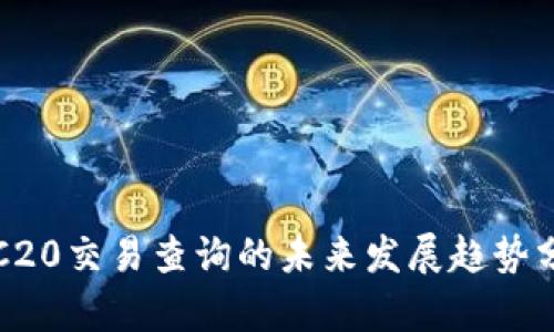 TRC20交易查询的未来发展趋势分析