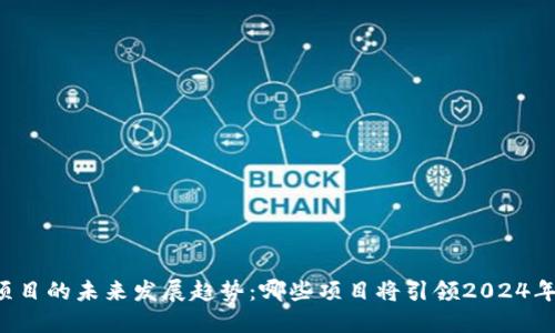 虚拟币项目的未来发展趋势：哪些项目将引领2024年新风口？