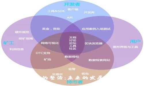 虚拟币信息的整治：未来的发展趋势与挑战