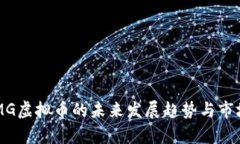 2023年DMG虚拟币的未来发展