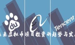 未来虚拟币项目投资的趋