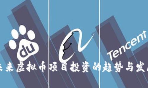 未来虚拟币项目投资的趋势与发展