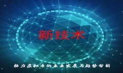 格力虚拟币的未来发展与