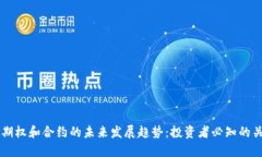 虚拟币期权和合约的未来