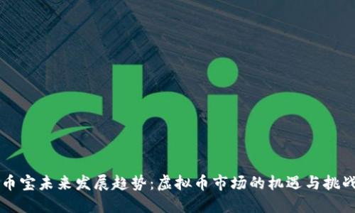 币宝未来发展趋势：虚拟币市场的机遇与挑战