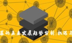 虚拟币私募的未来发展趋