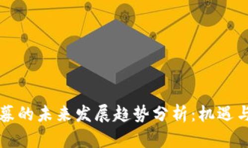 虚拟币私募的未来发展趋势分析：机遇与挑战并存