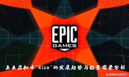 未来虚拟币“Rise”的发展趋势与投资前景分析