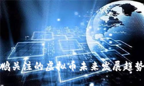 赵长鹏关注的虚拟币未来发展趋势分析