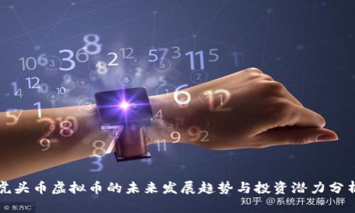 虎头币虚拟币的未来发展趋势与投资潜力分析