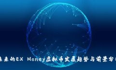 未来的EX Money虚拟币发展趋