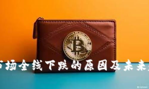 虚拟币市场全线下跌的原因及未来趋势分析
