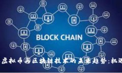 2024年虚拟币与区块链技术