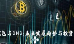 TP钱包与BNB：未来发展趋势