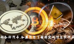 虚拟币项圈通常指的是“