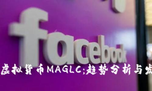 未来的虚拟货币MAGLC：趋势分析与发展展望