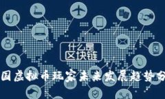 中国虚拟币玩家未来发展