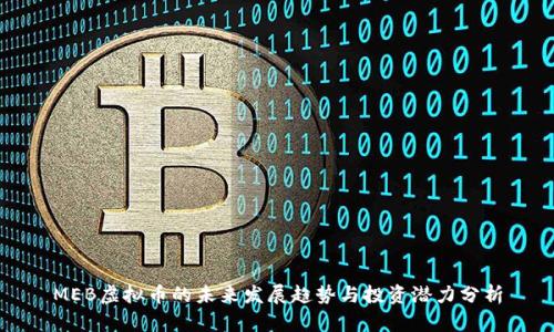 MEB虚拟币的未来发展趋势与投资潜力分析